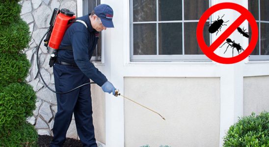 Kiğı Böcek İlaçlama böcek ilaçlama ve haşere kontrolü — ilaclama-tr.com